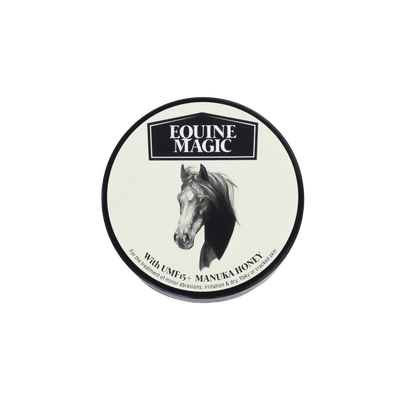 Equine Magic - The Honey Collection